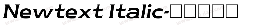 Newtext Italic字体转换